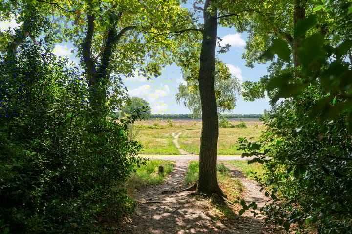 Foto 29 van Anthonie Fokkerstraat 80