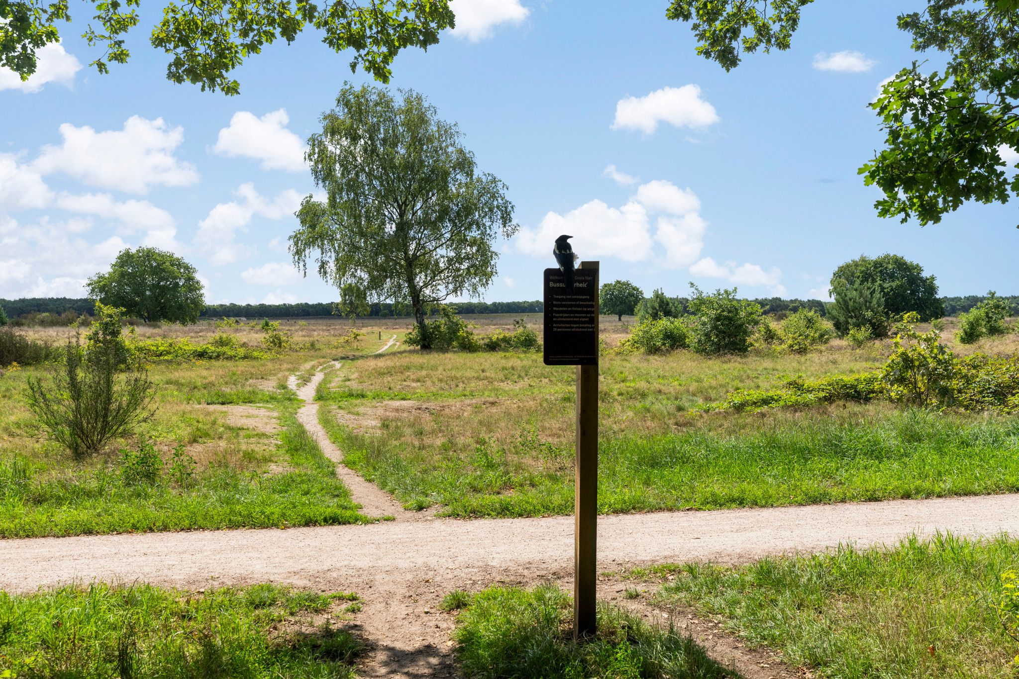 Foto 30 van Anthonie Fokkerstraat 80