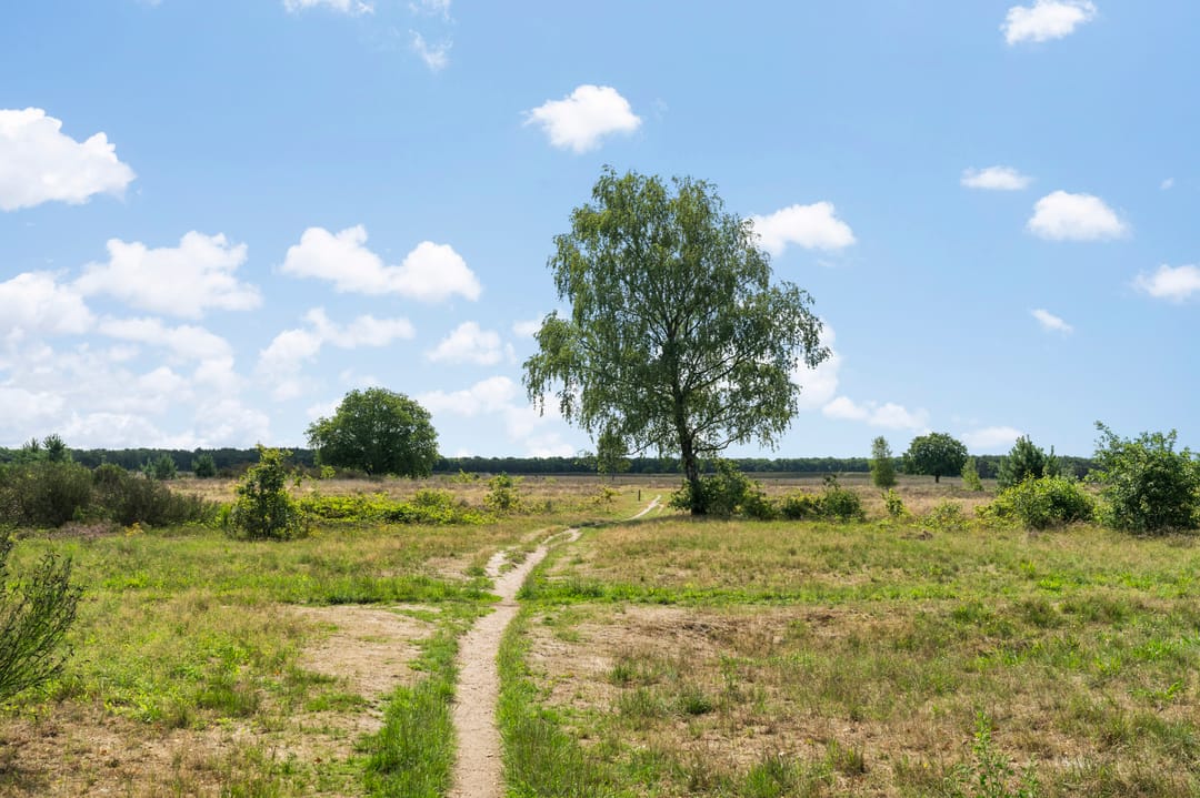 Foto 31 van Anthonie Fokkerstraat 80