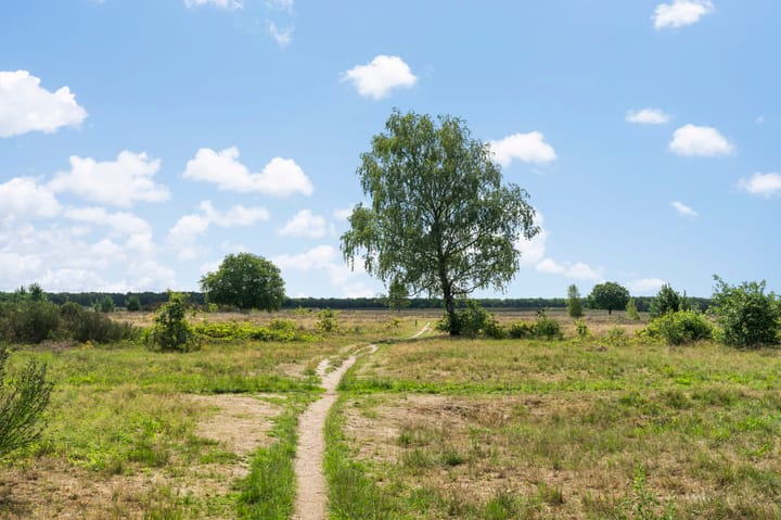 Foto 31 van Anthonie Fokkerstraat 80