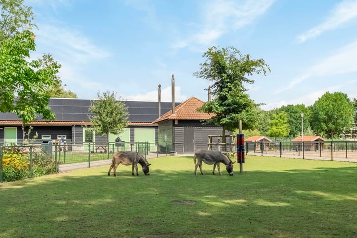 Foto 31 van Acaciastraat 39