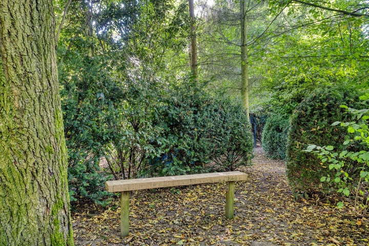 Foto 50 van Hoogstraat 14