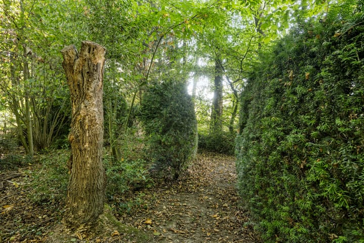 Foto 52 van Hoogstraat 14