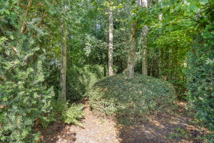 Foto 53 van Hoogstraat 14