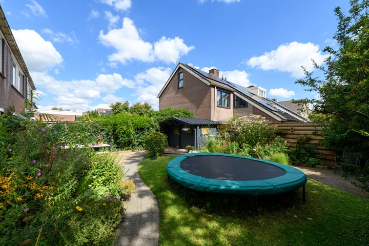 Photo 50 of Leppa 60