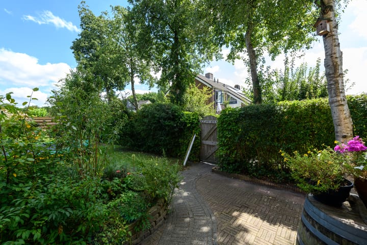 Photo 55 of Leppa 60