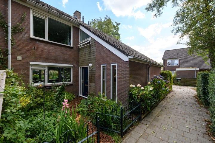 Photo 57 of Leppa 60