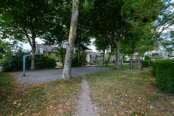 Photo 58 of Leppa 60