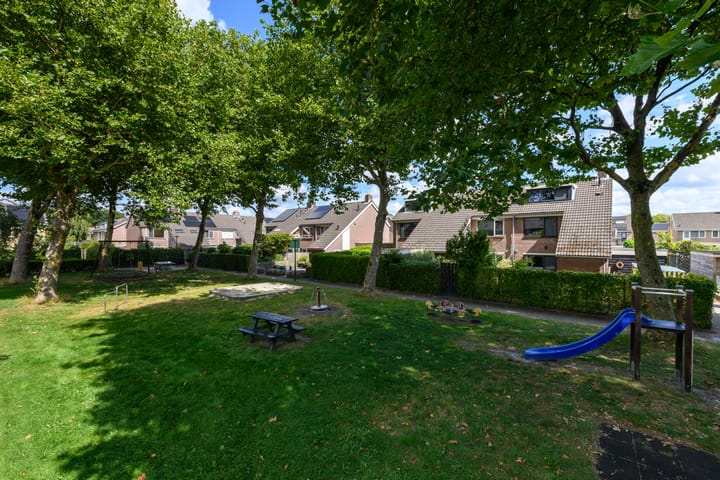 Photo 60 of Leppa 60