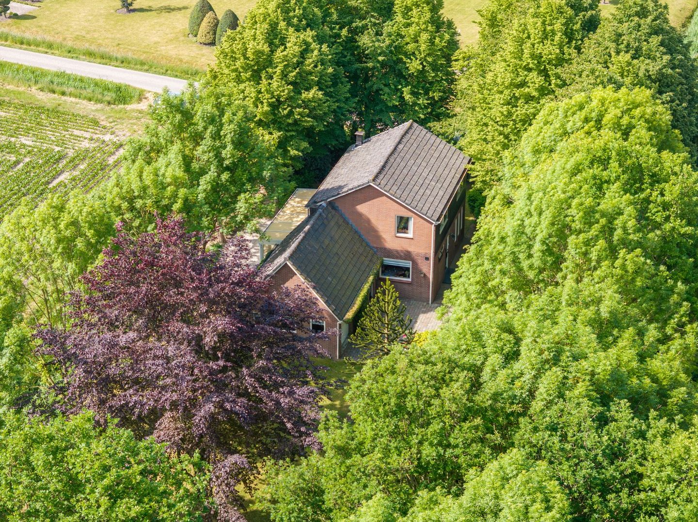 Photo 29 of Achthuizensedijk 33