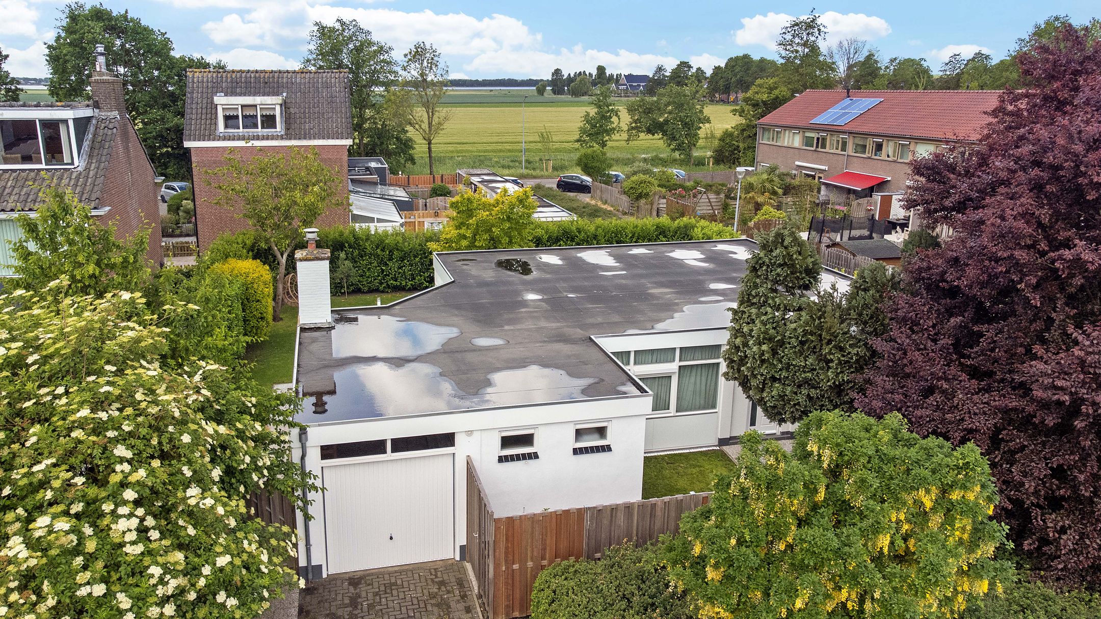 Foto 48 van Troelstralaan 117