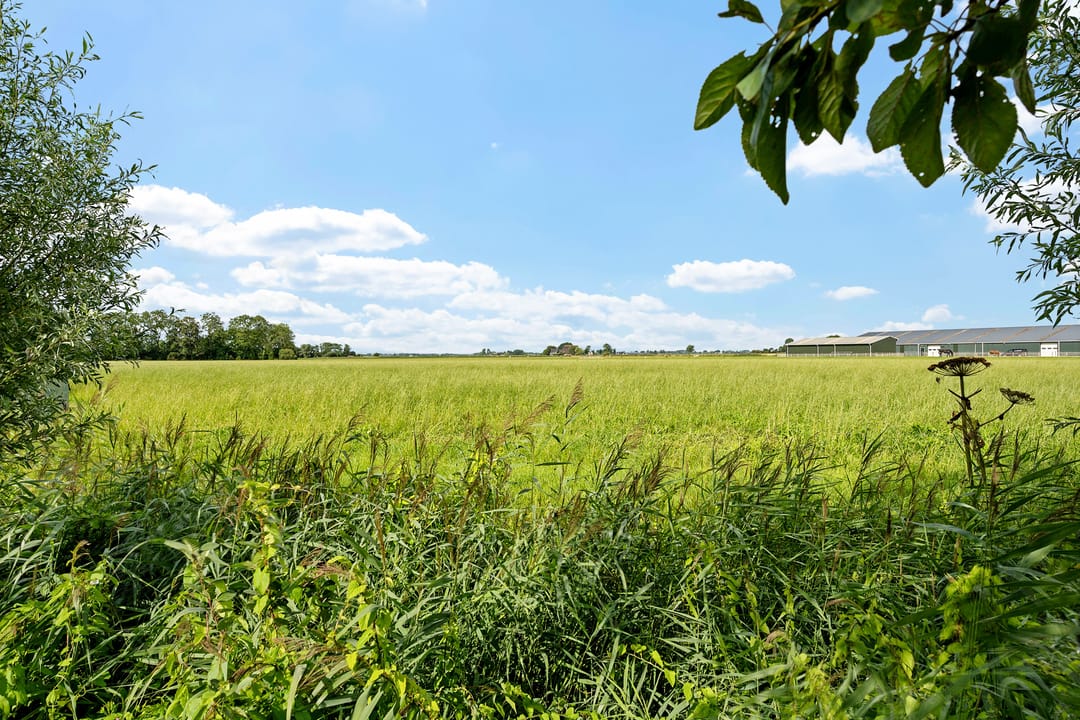 Photo 2 of Bitgumerdyk 85