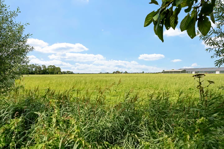 Foto 2 van Bitgumerdyk 85