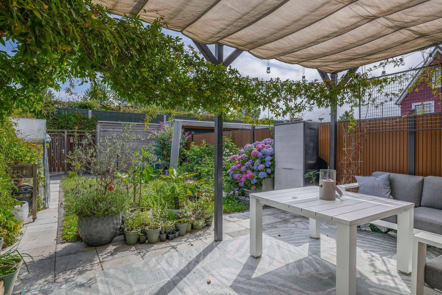 Foto 19 van Hendrik van Hamontstraat 46