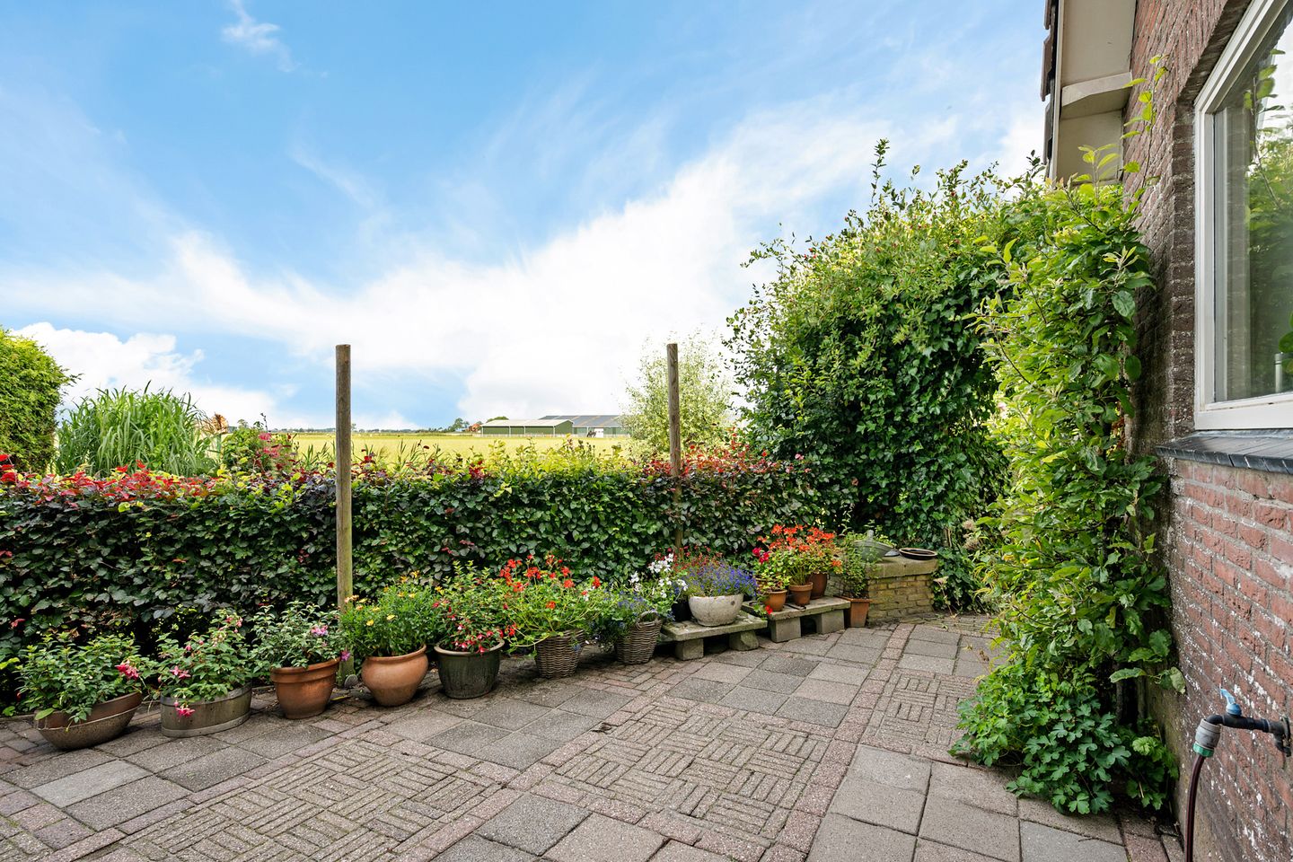 Photo 10 of Bitgumerdyk 85