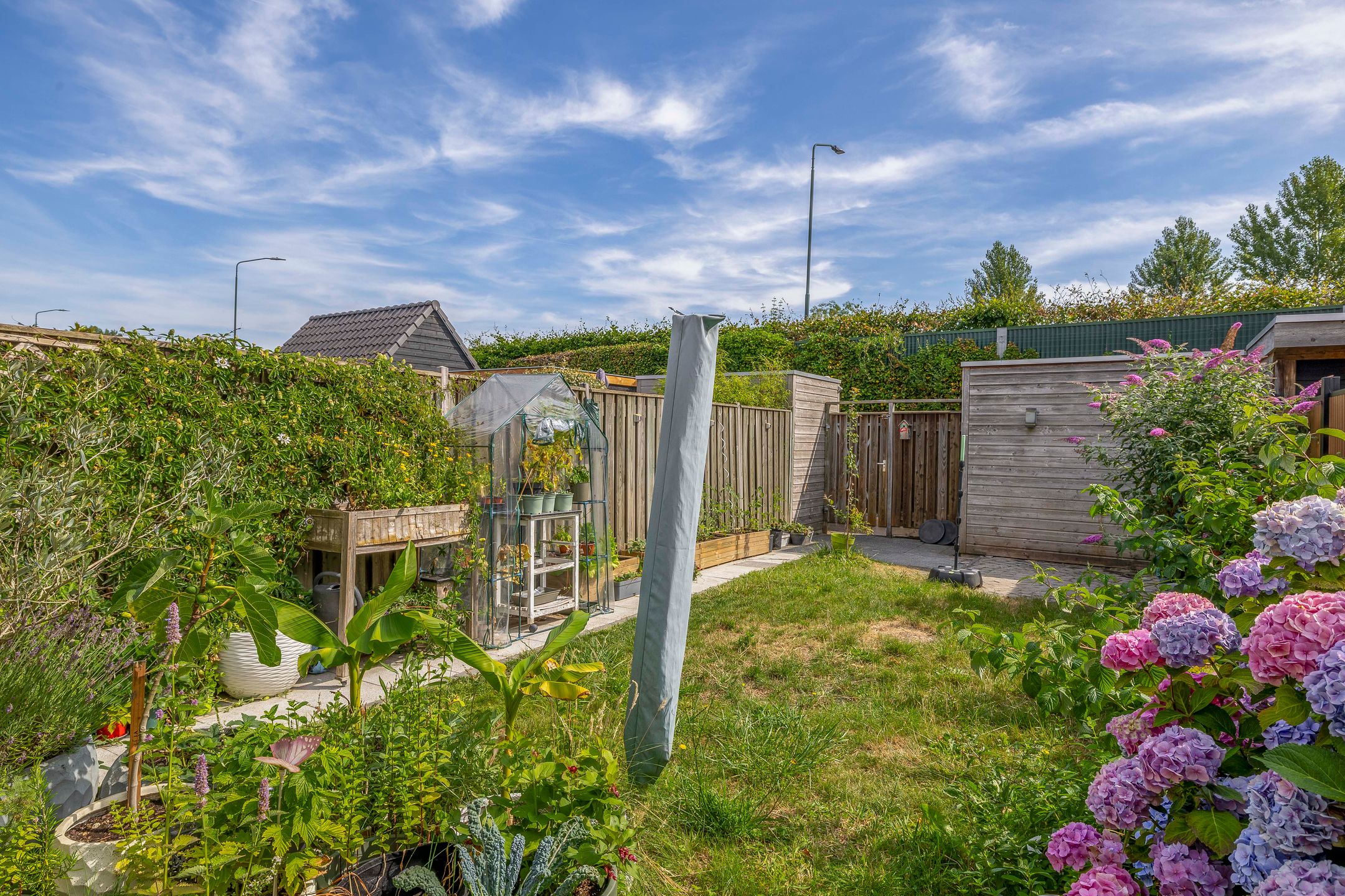 Foto 21 van Hendrik van Hamontstraat 46