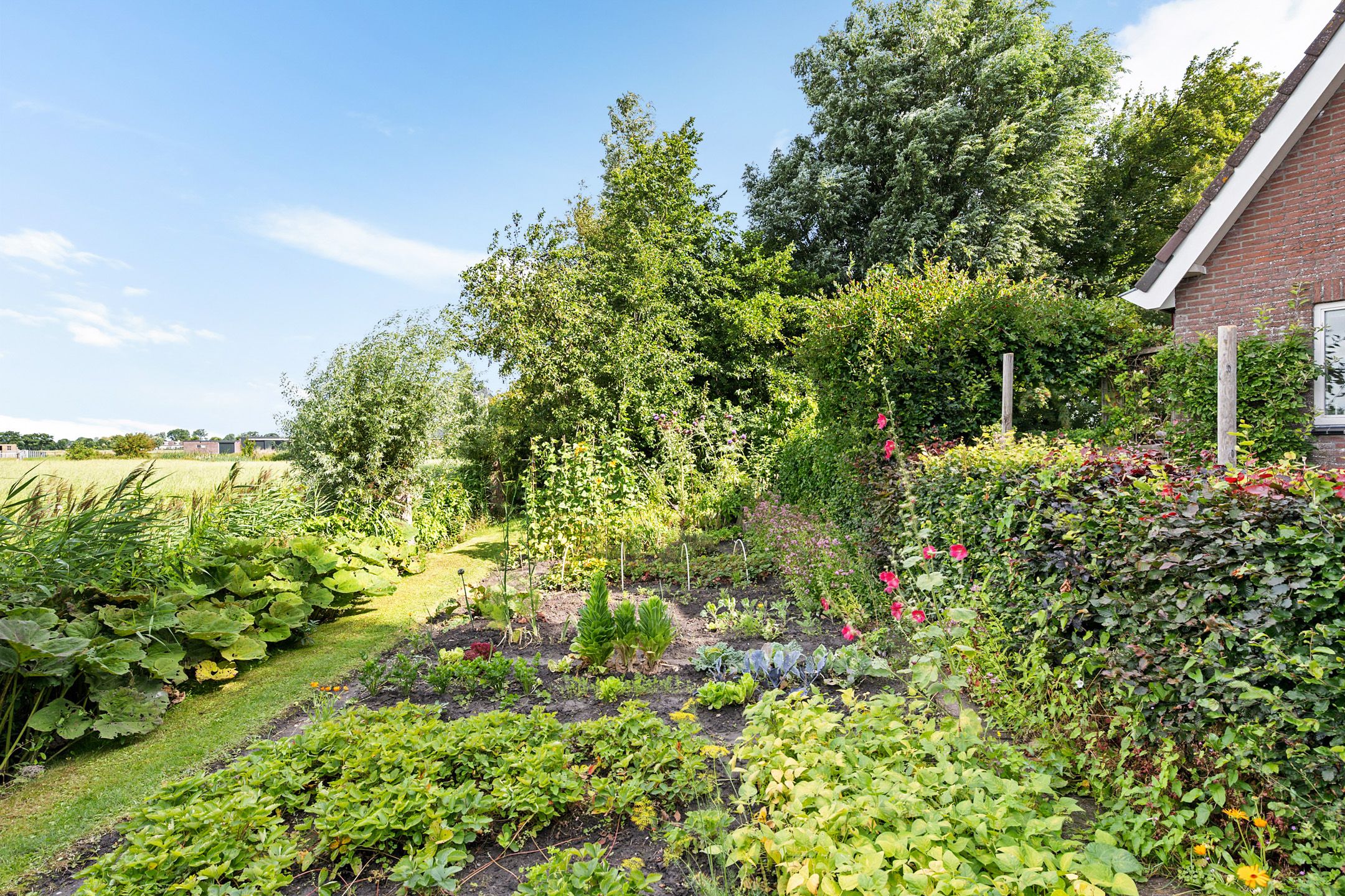 Photo 12 of Bitgumerdyk 85