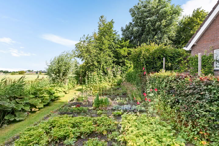 Foto 12 van Bitgumerdyk 85