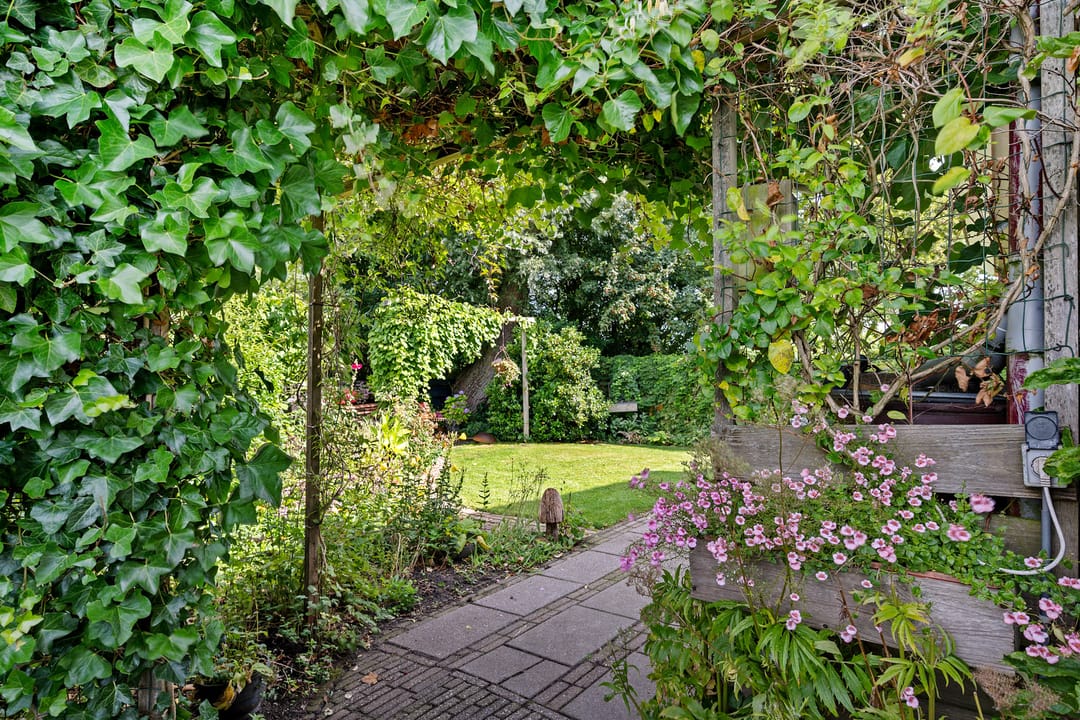 Photo 13 of Bitgumerdyk 85