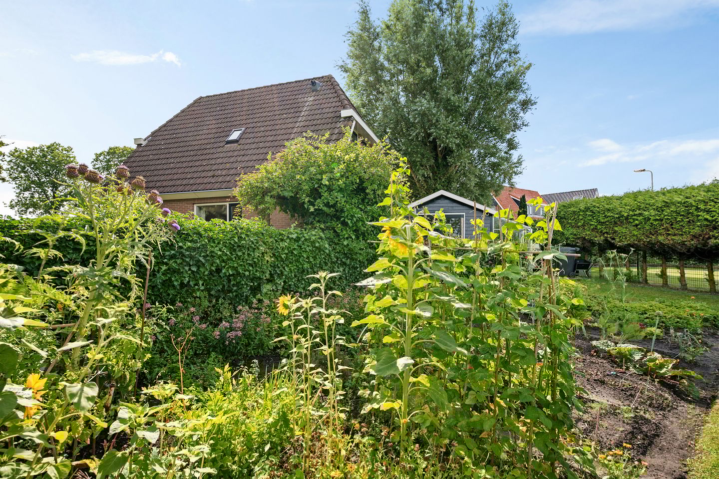 Photo 14 of Bitgumerdyk 85