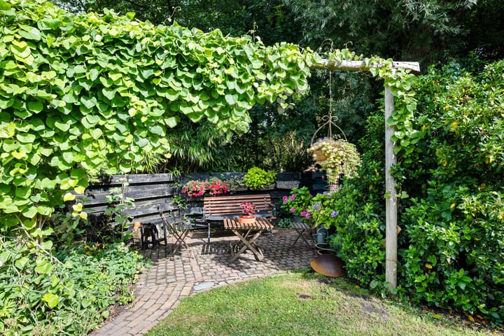 Foto 17 van Bitgumerdyk 85