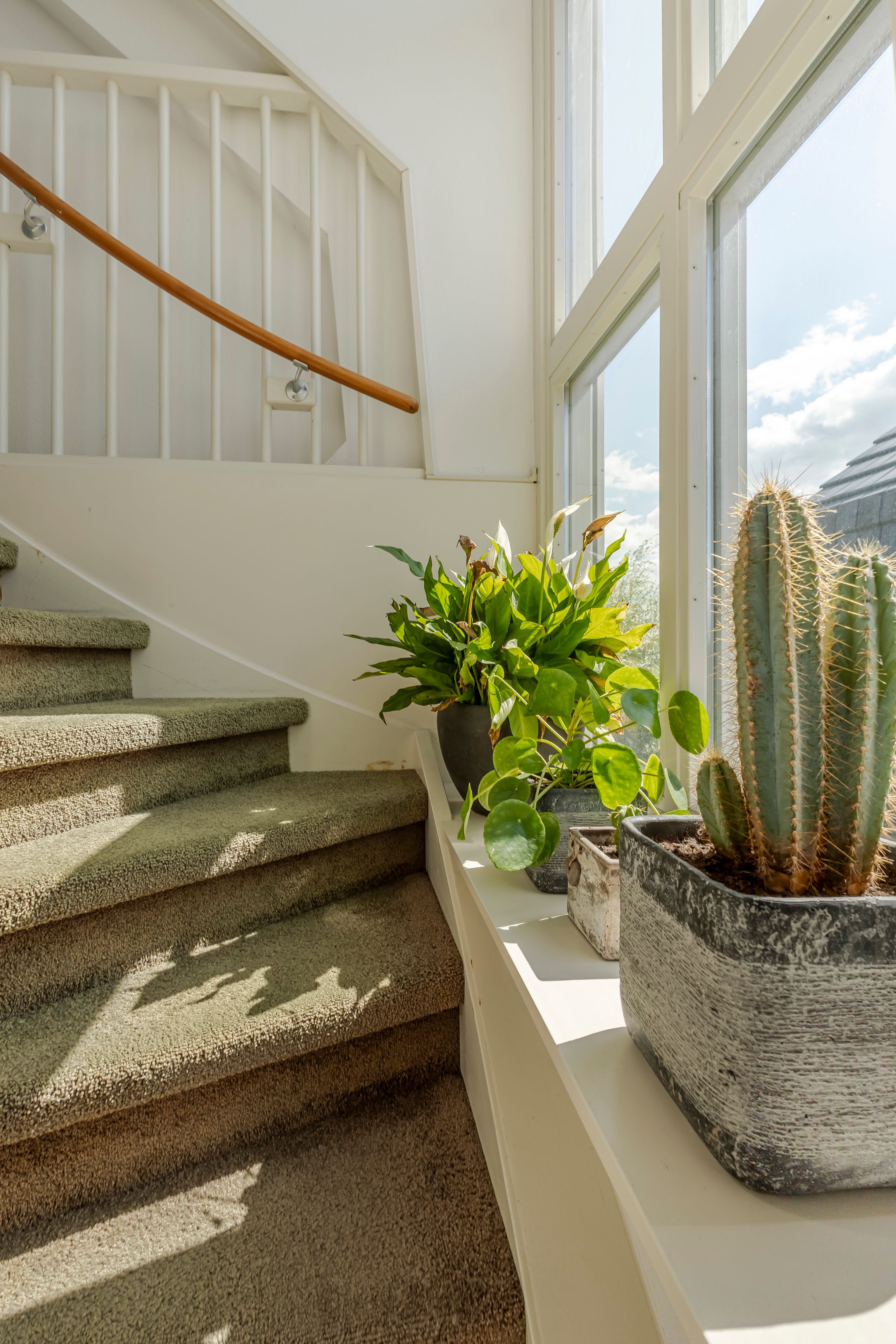 Photo 24 of Akkerwinde 21