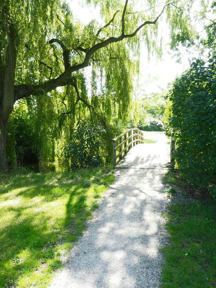 Foto 40 van Hynstewaed 2