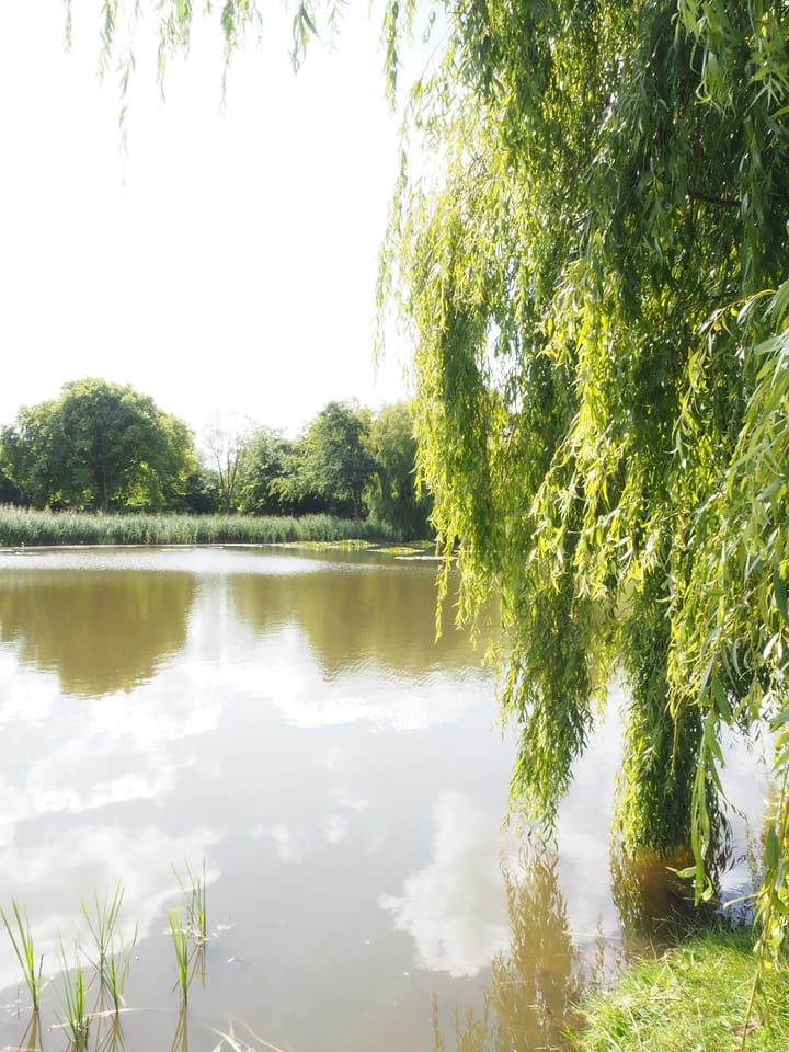 Foto 41 van Hynstewaed 2