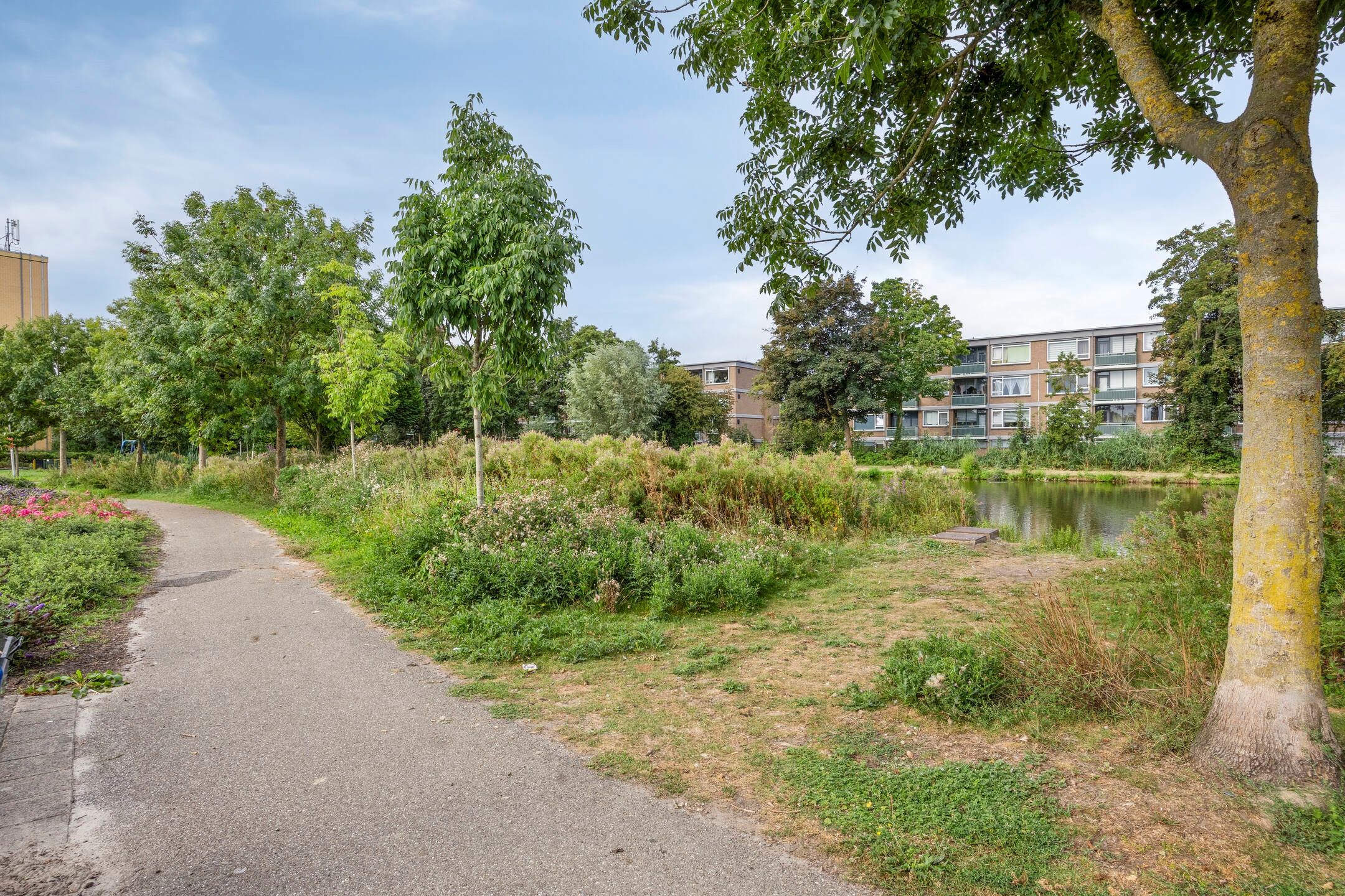 Foto 27 van Lupinestraat 69