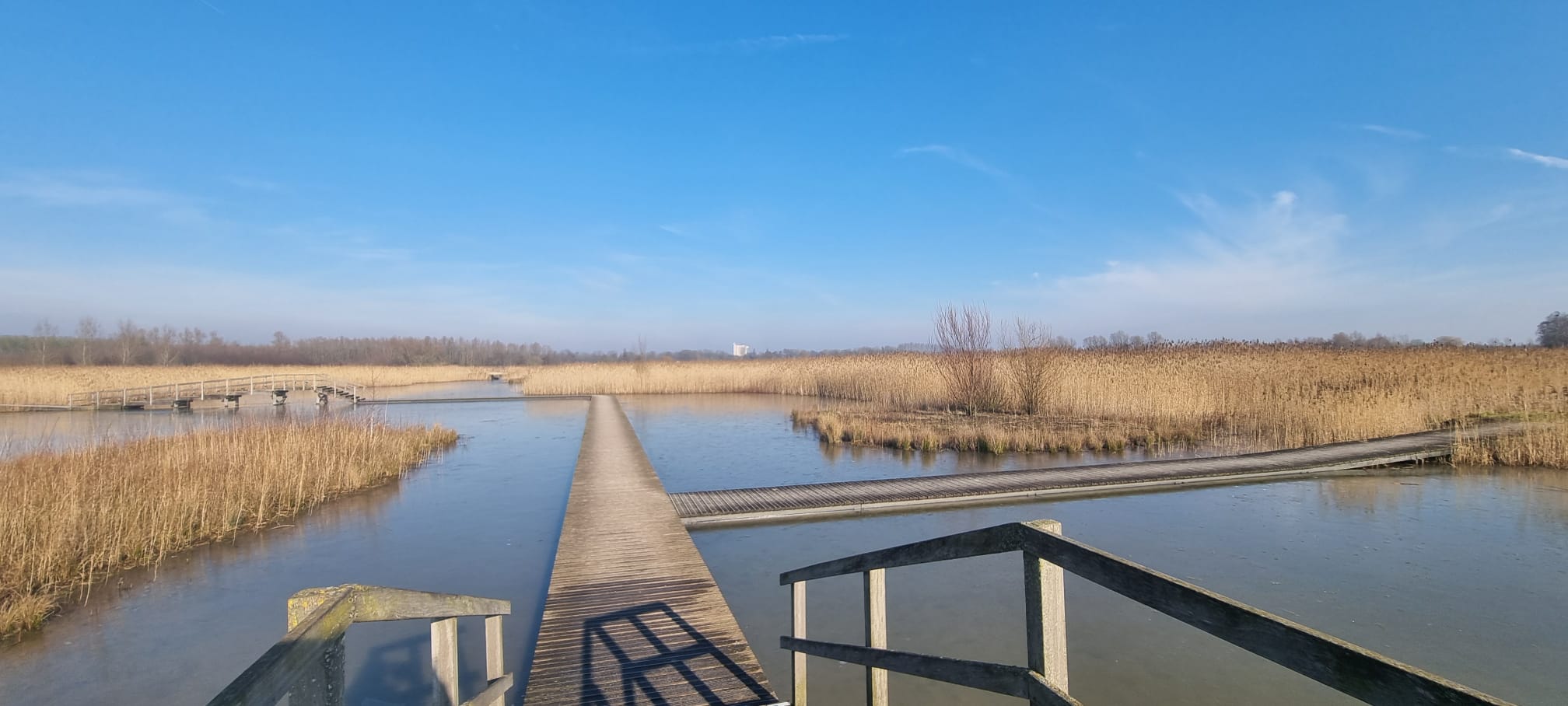 Landgraafstraat, 74, Arnhem, 6845ED, Gelderland, Nederland 74