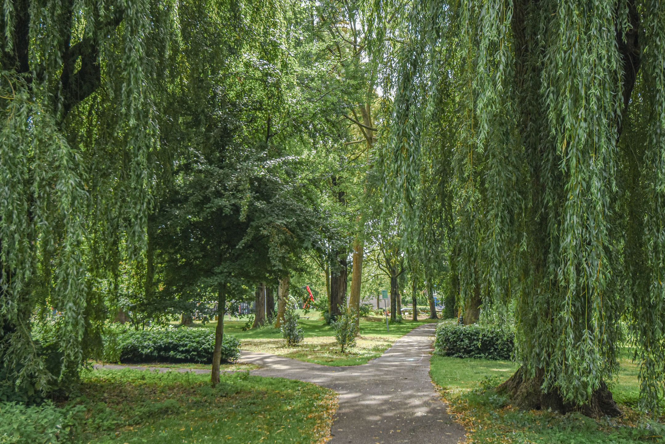 Foto 33 van Hoekwaterstraat 2