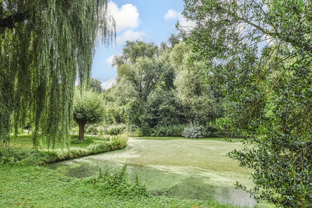 Foto 41 van Hoekwaterstraat 2