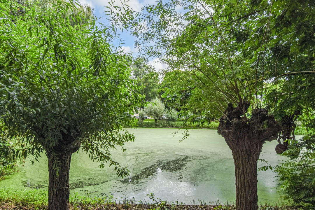 Foto 43 van Hoekwaterstraat 2