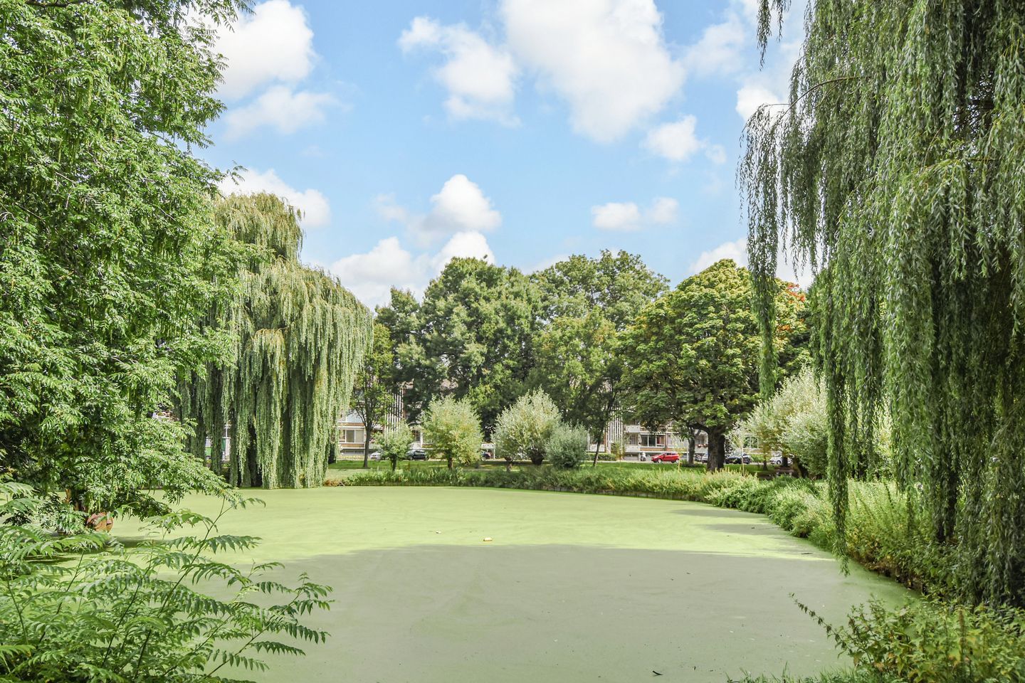 Foto 44 van Hoekwaterstraat 2