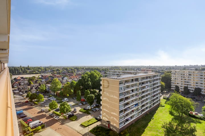 Foto 23 van Prins Willem-Alexanderpark 437