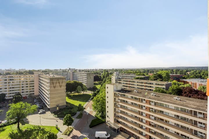 Foto 24 van Prins Willem-Alexanderpark 437