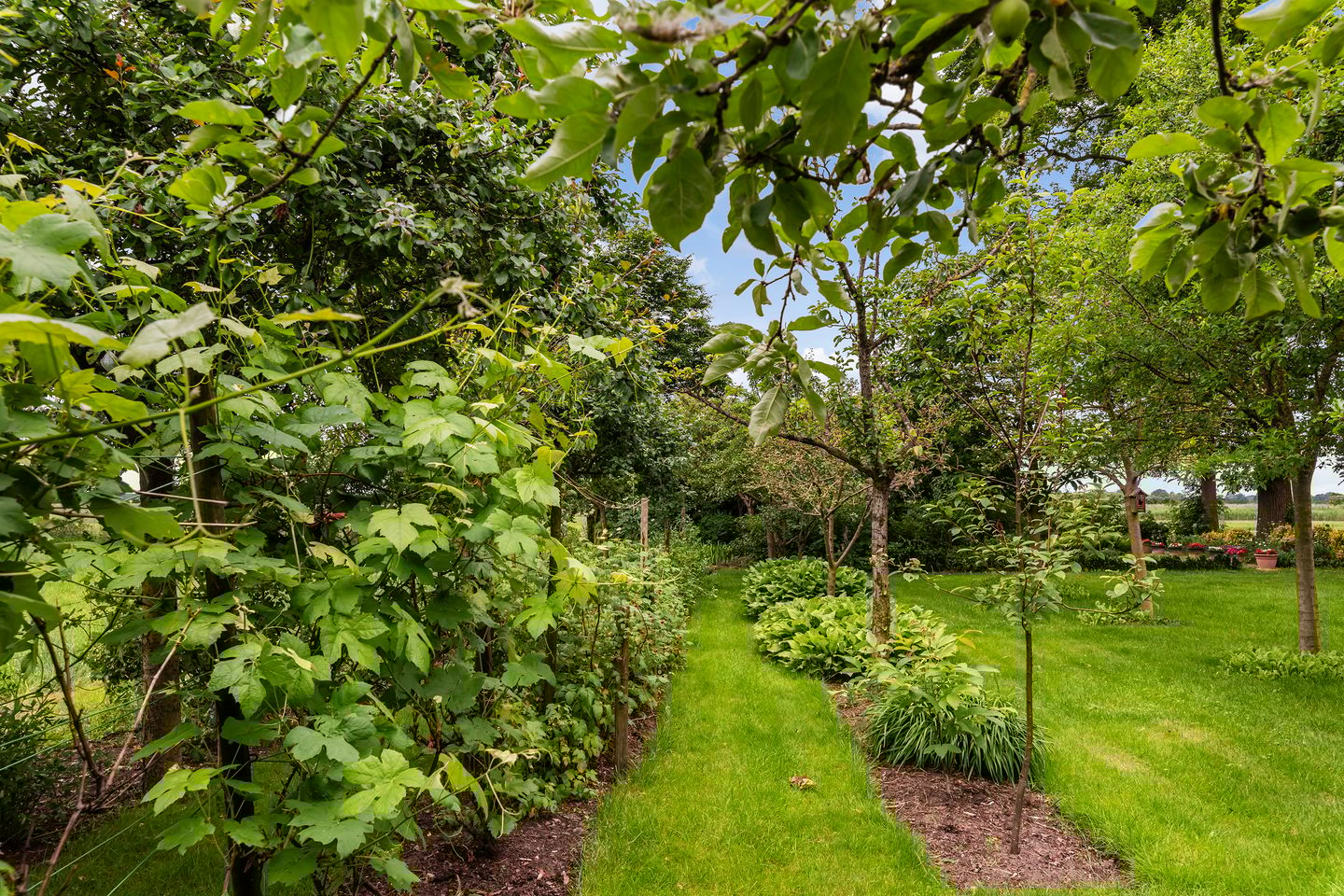 Foto 20 van Ensinkgoorsdijk 7