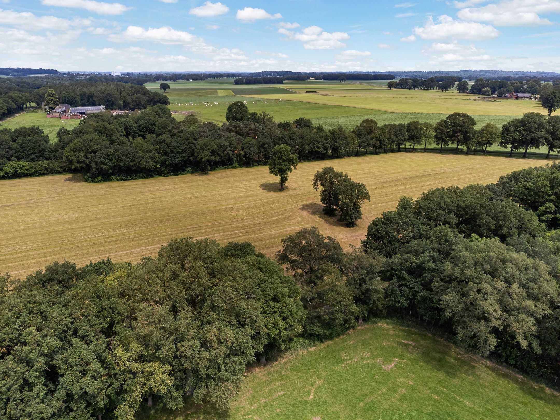 Foto 24 van Ensinkgoorsdijk 7