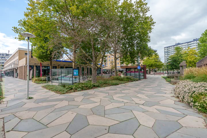 Foto 41 van Prof. Ritzema Boslaan 99