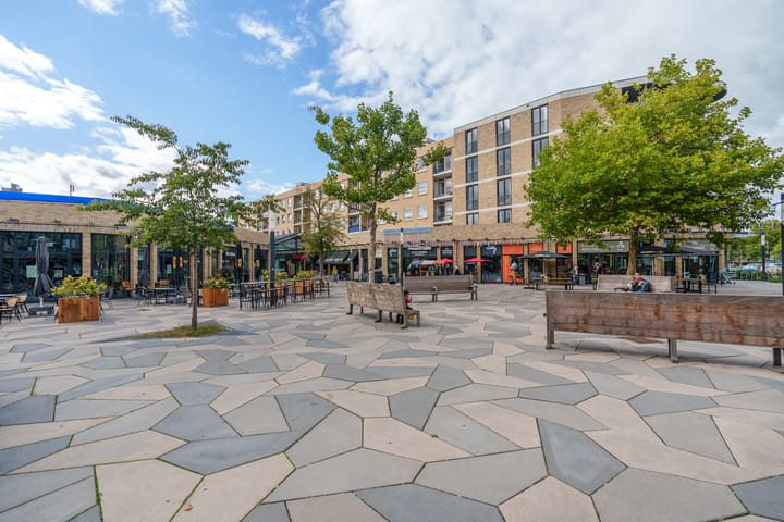 Foto 42 van Prof. Ritzema Boslaan 99