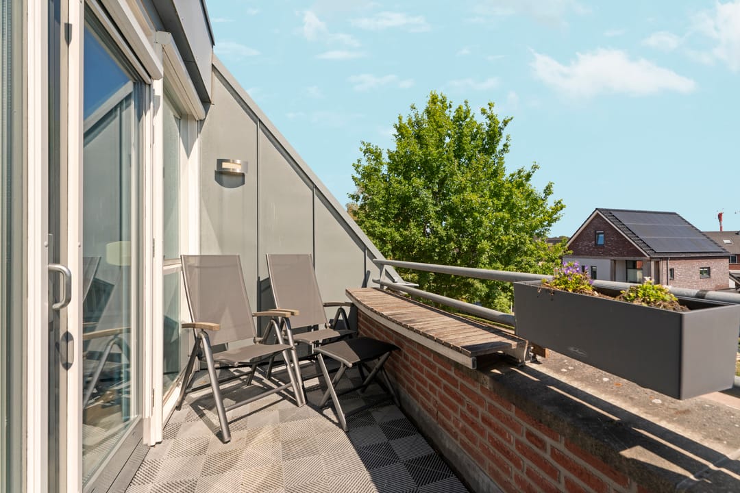 Foto 2 van Stoeterij 31