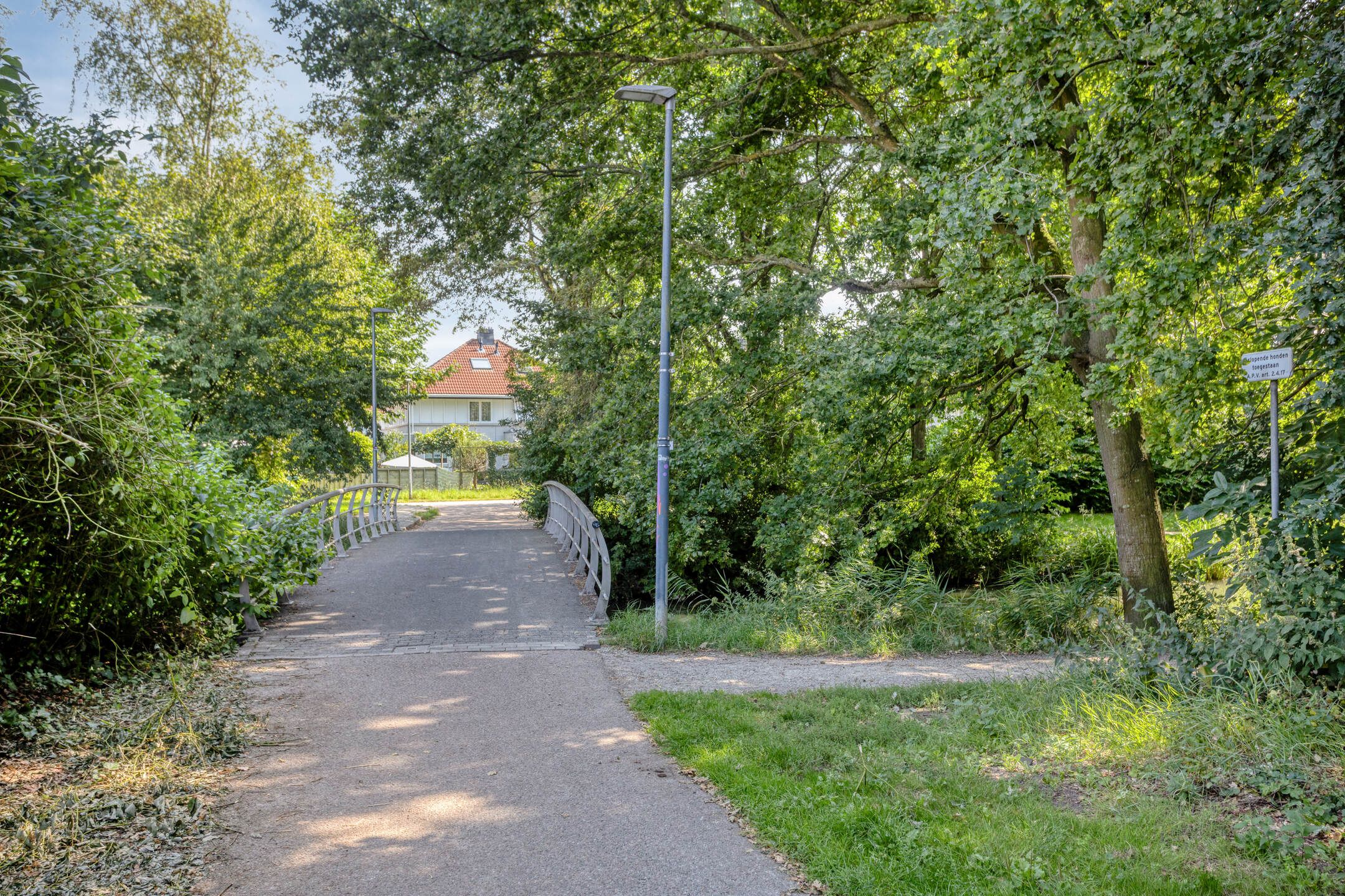 Foto 42 van Bazillehof 115