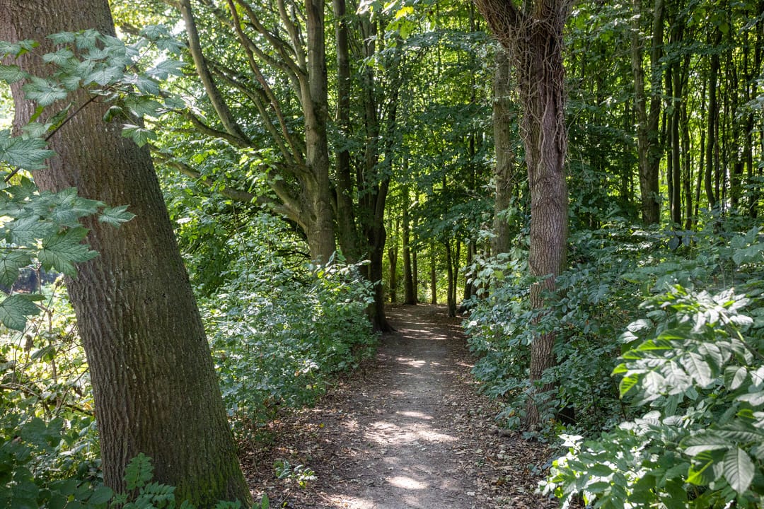 Foto 43 van Bazillehof 115