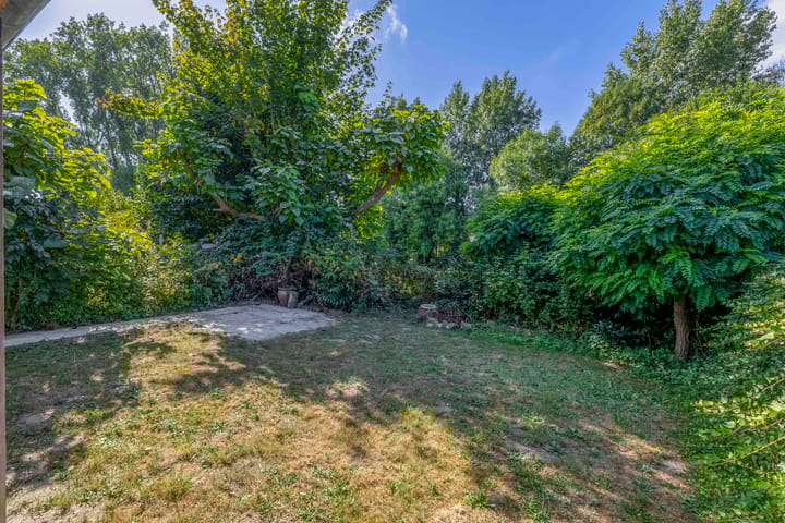 Foto 24 van Ringelwikke 27