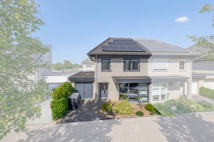 Foto 1 van Knoopkruid 8