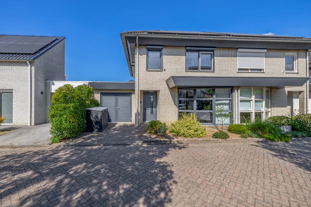 Foto 2 van Knoopkruid 8