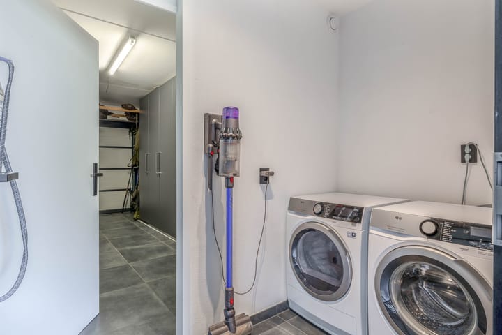 Foto 12 van Knoopkruid 8