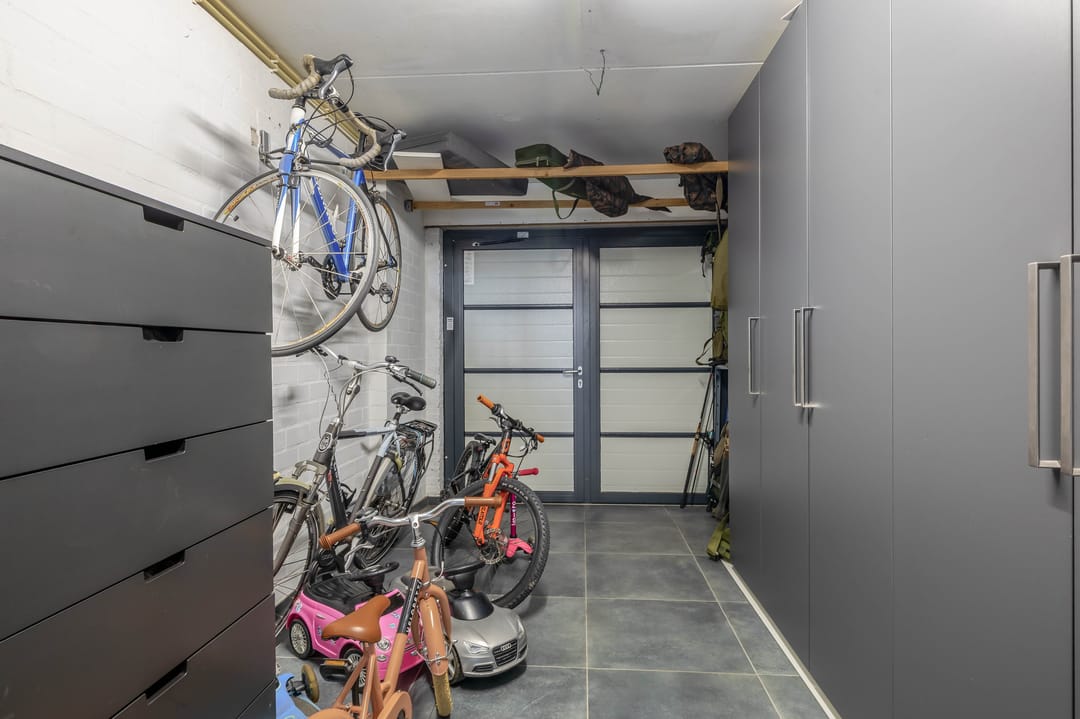 Foto 13 van Knoopkruid 8