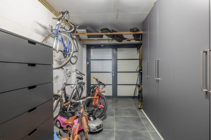 Foto 13 van Knoopkruid 8