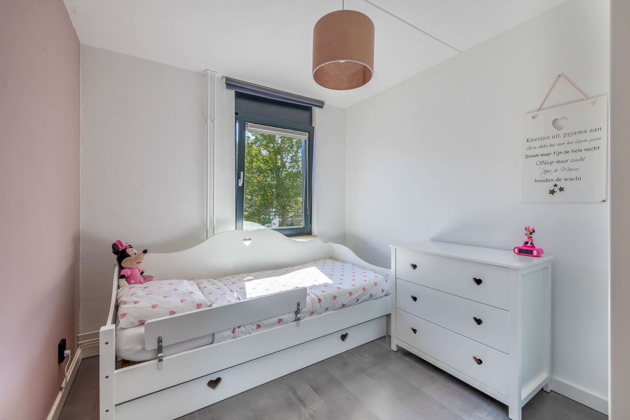 Foto 18 van Knoopkruid 8